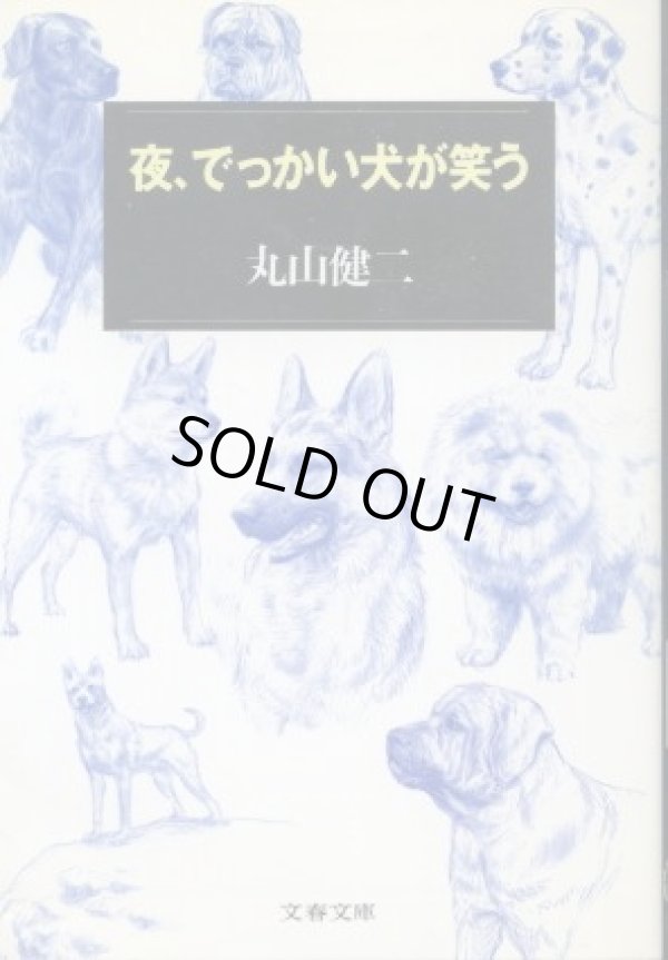 画像1: 夜、でっかい犬が笑う 丸山健二