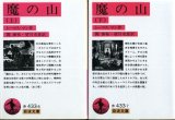 画像: 魔の山 上下巻 ２冊 トーマス・マン/関泰祐・望月市恵訳