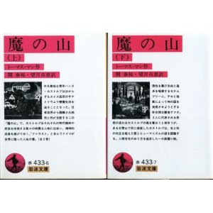 画像: 魔の山 上下巻 ２冊 トーマス・マン/関泰祐・望月市恵訳