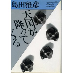 画像: 天国が降ってくる 島田雅彦