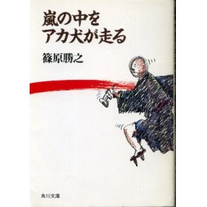 画像: 嵐の中をアカ犬が走る 篠原勝之