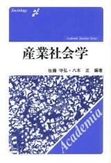 画像: 産業社会学　アカデミアセミナーシリーズ　佐藤守弘・八木正　編著